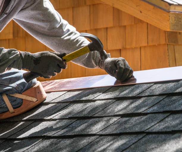 Best Roof Repair Services  in Medford, MN